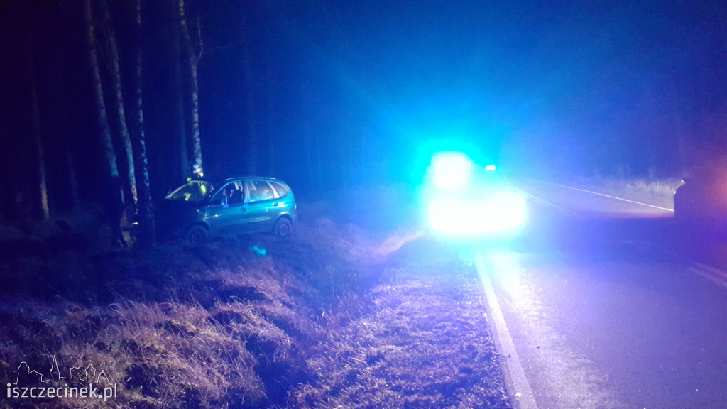 Renault uderzył w drzewo. Kierowca oddalił się z miejsca