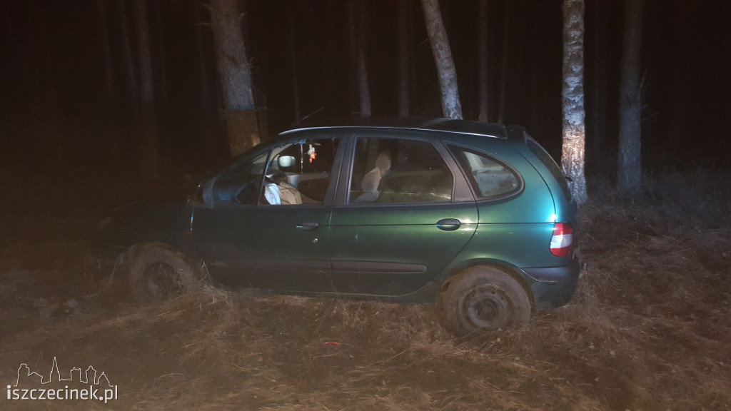 Renault uderzył w drzewo. Kierowca oddalił się z miejsca