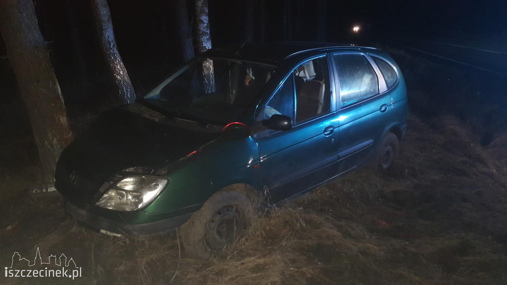 Renault uderzył w drzewo. Kierowca oddalił się z miejsca