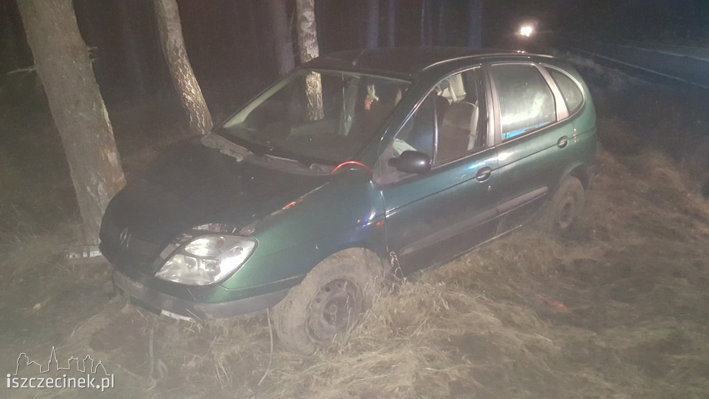 Renault uderzył w drzewo. Kierowca oddalił się z miejsca