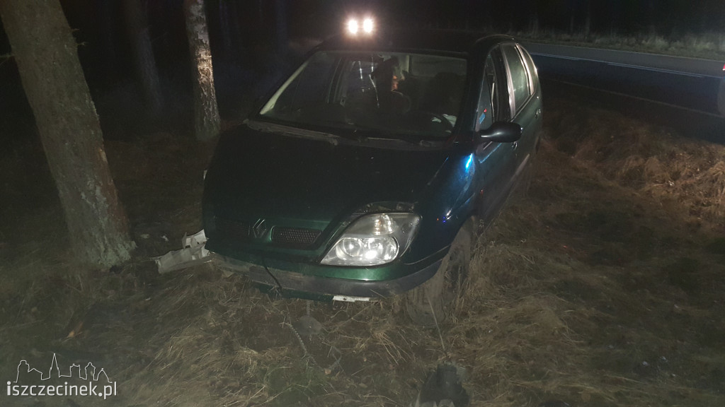 Renault uderzył w drzewo. Kierowca oddalił się z miejsca