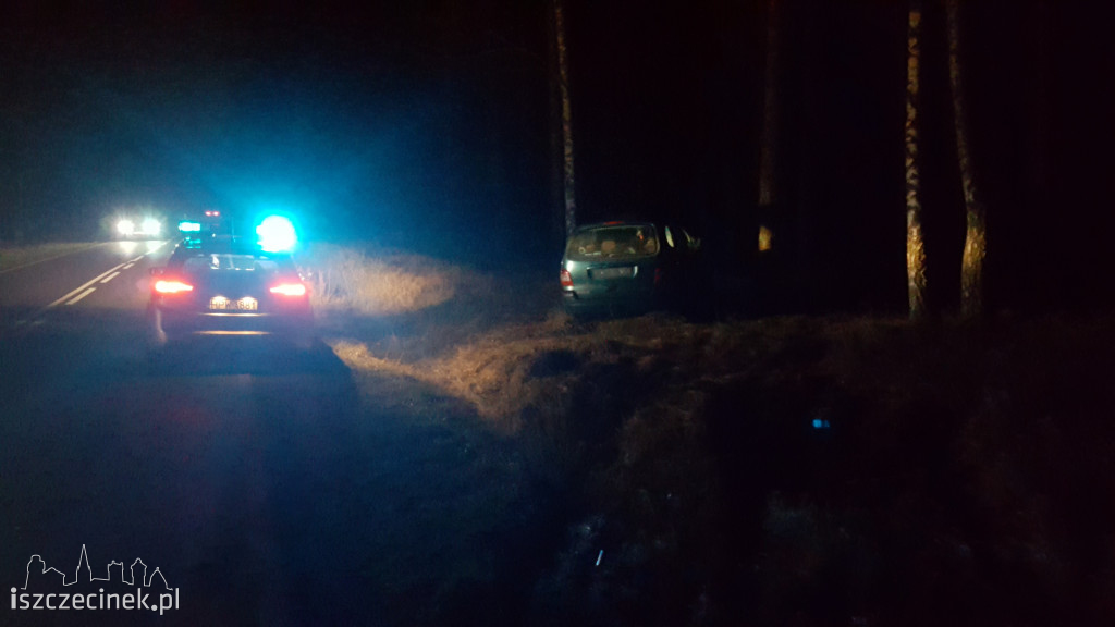 Renault uderzył w drzewo. Kierowca oddalił się z miejsca