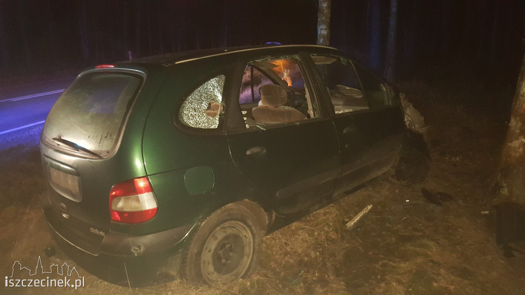 Renault uderzył w drzewo. Kierowca oddalił się z miejsca