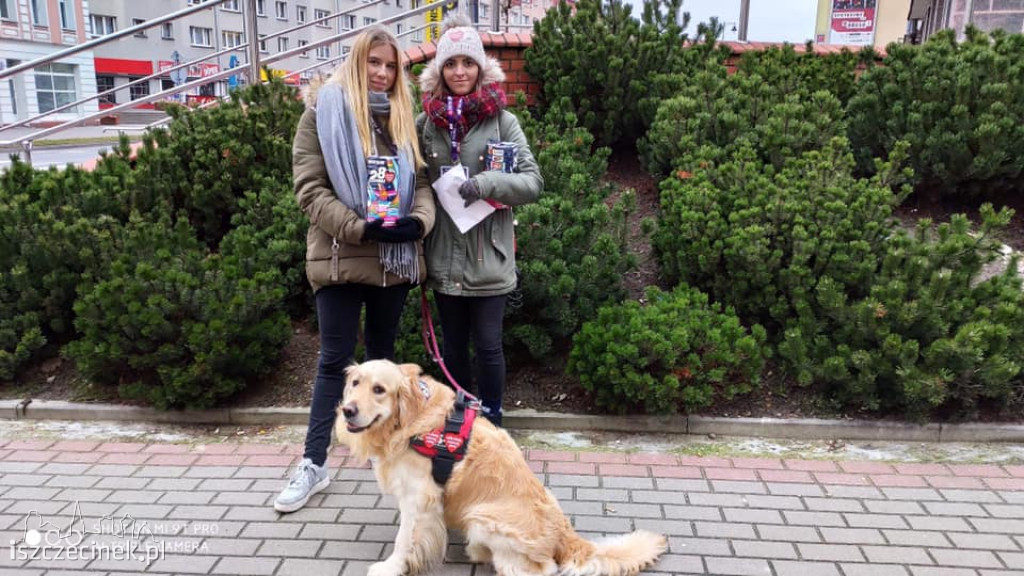 28. Finał Wielkiej Orkiestry Świątecznej Pomocy [ZDJĘCIA]
