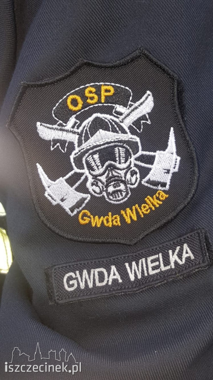 Pożar mieszkania w Godzimierzu [ZDJĘCIA]