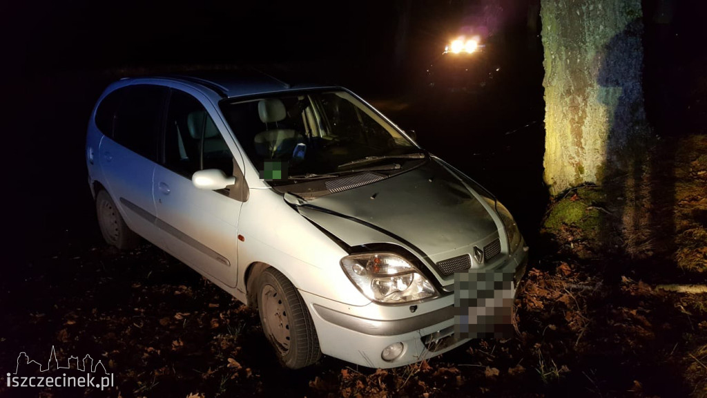  Wypadek pod Szczecinkiem. Samochód uderzył w drzewo. Policja ustala okoliczności wypadku