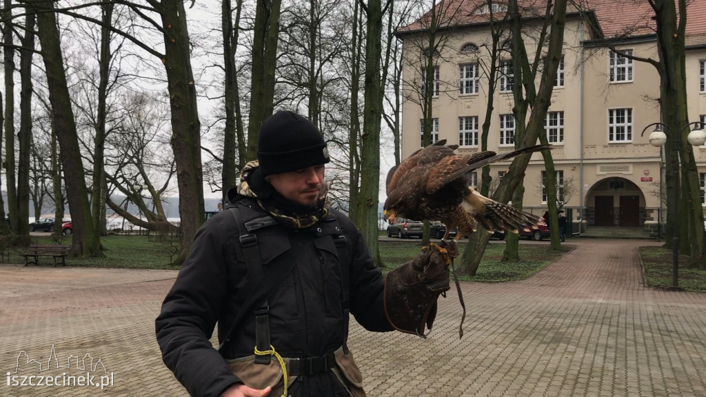 Sokolnik w parku