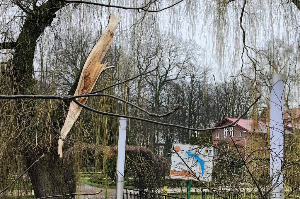 Skutki wichury nad Szczecinkiem i regionem [ZDJĘCIA]