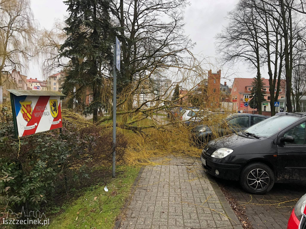 Skutki wichury nad Szczecinkiem i regionem [ZDJĘCIA]