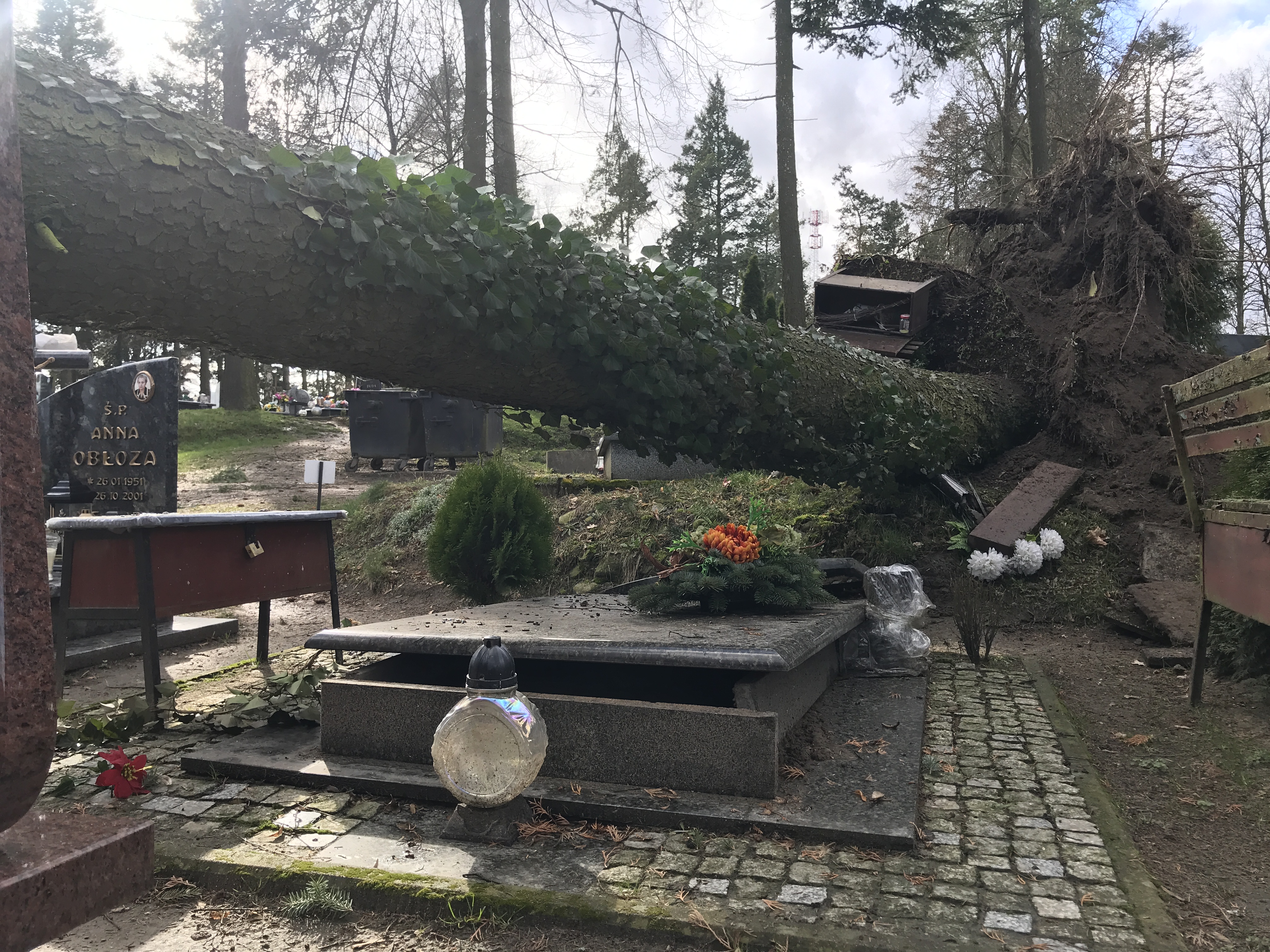 Skutki wichury nad Szczecinkiem i regionem [ZDJĘCIA]