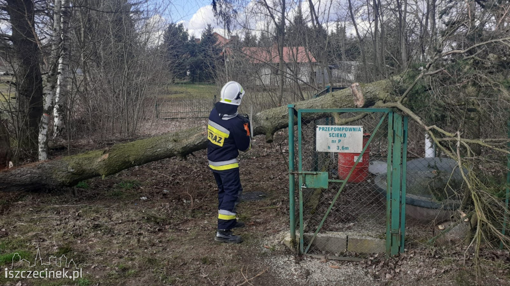 Skutki wichury nad Szczecinkiem i regionem [ZDJĘCIA]