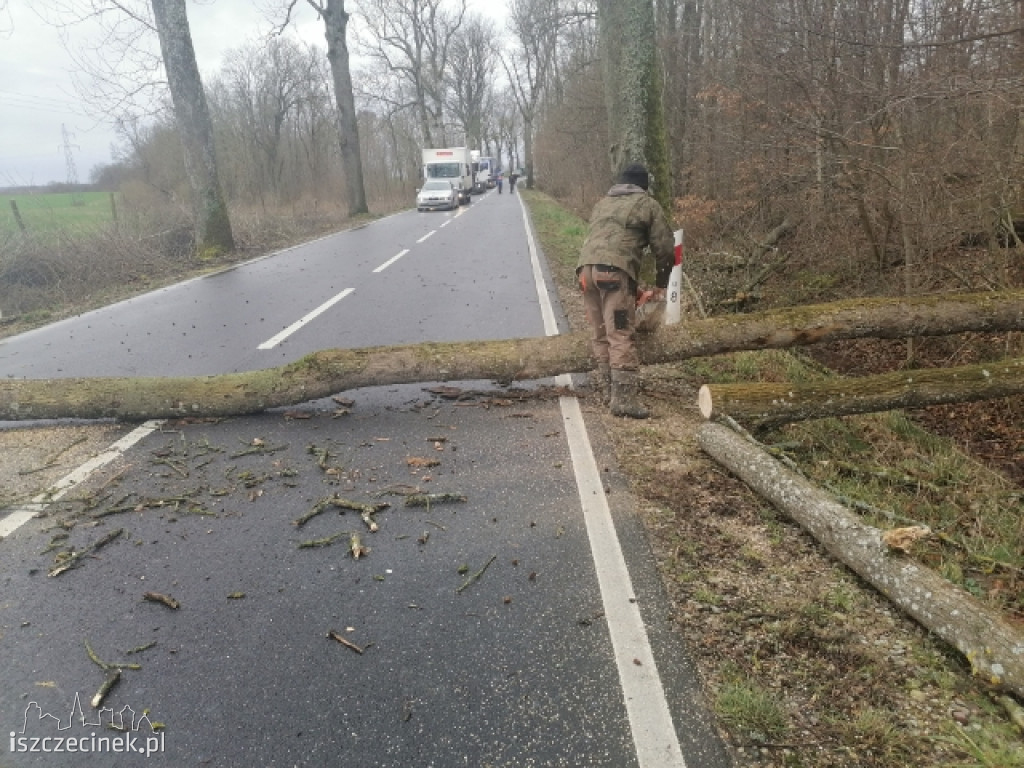 Skutki wichury nad Szczecinkiem i regionem [ZDJĘCIA]