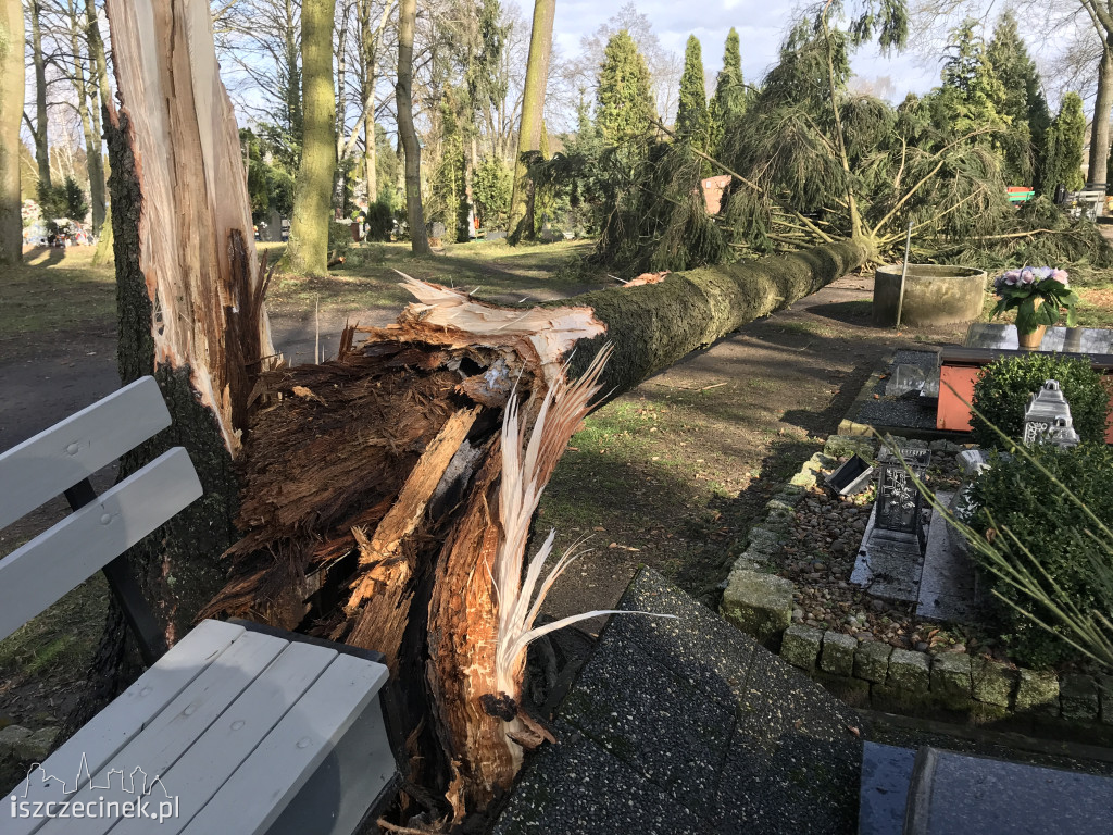 Cmentarz w Szczecinku po wichurze: połamane i powalone drzewa, uszkodzone pomniki