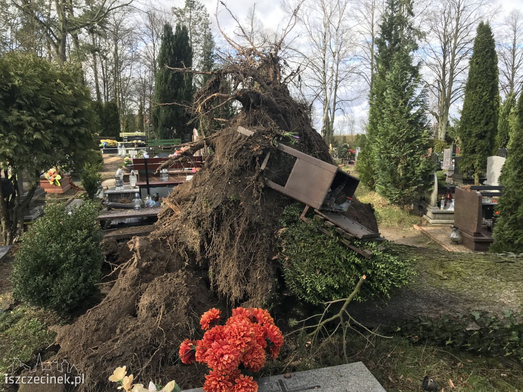 Cmentarz w Szczecinku po wichurze: połamane i powalone drzewa, uszkodzone pomniki