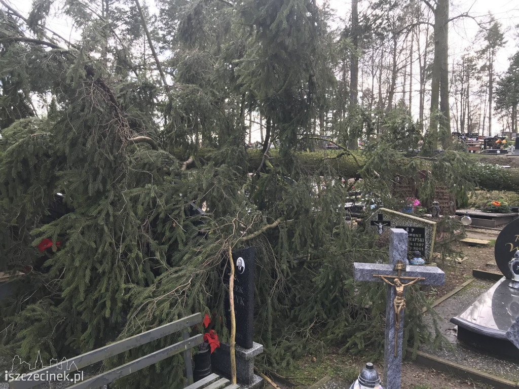 Cmentarz w Szczecinku po wichurze: połamane i powalone drzewa, uszkodzone pomniki
