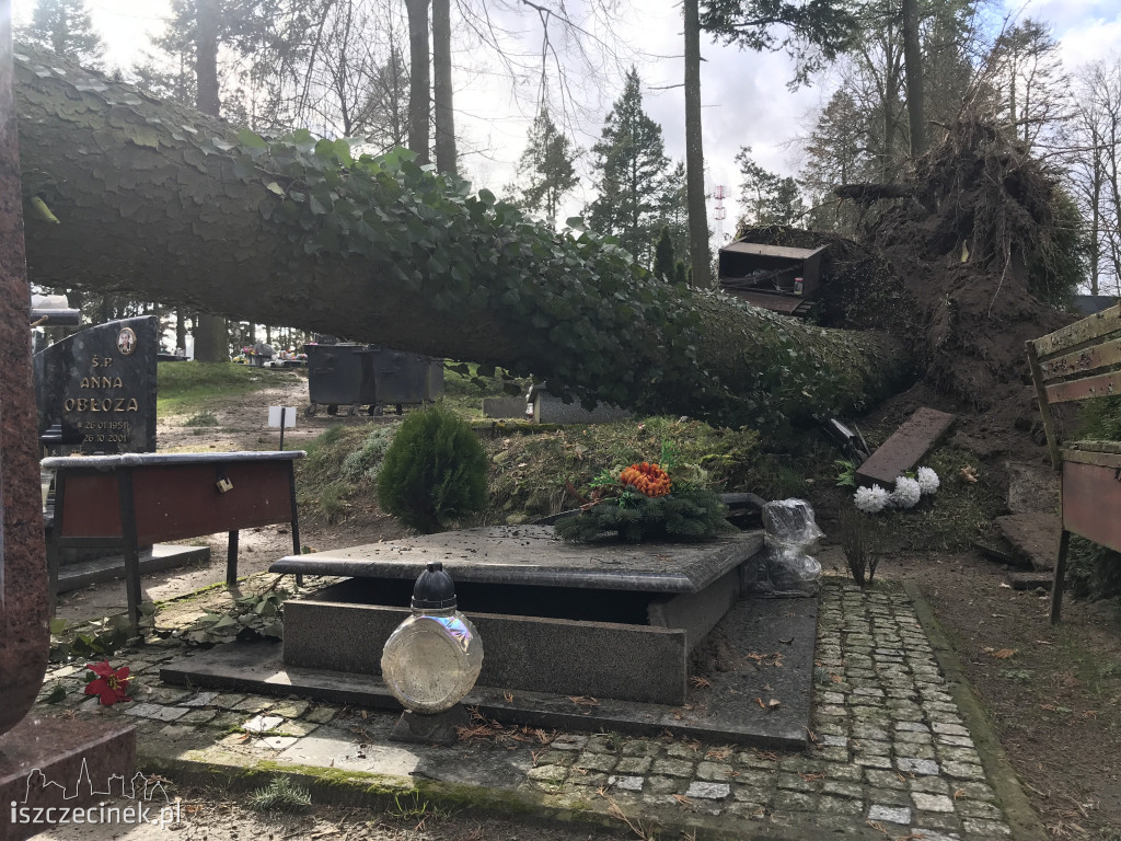 Cmentarz w Szczecinku po wichurze: połamane i powalone drzewa, uszkodzone pomniki