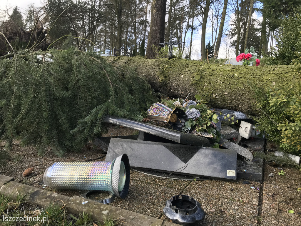 Cmentarz w Szczecinku po wichurze: połamane i powalone drzewa, uszkodzone pomniki