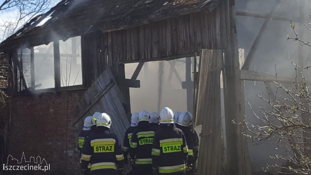Spłonął budynek gospodarczy w Dalęcinie