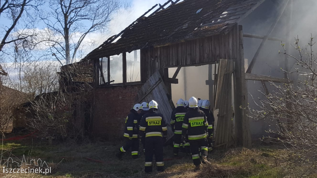 Spłonął budynek gospodarczy w Dalęcinie
