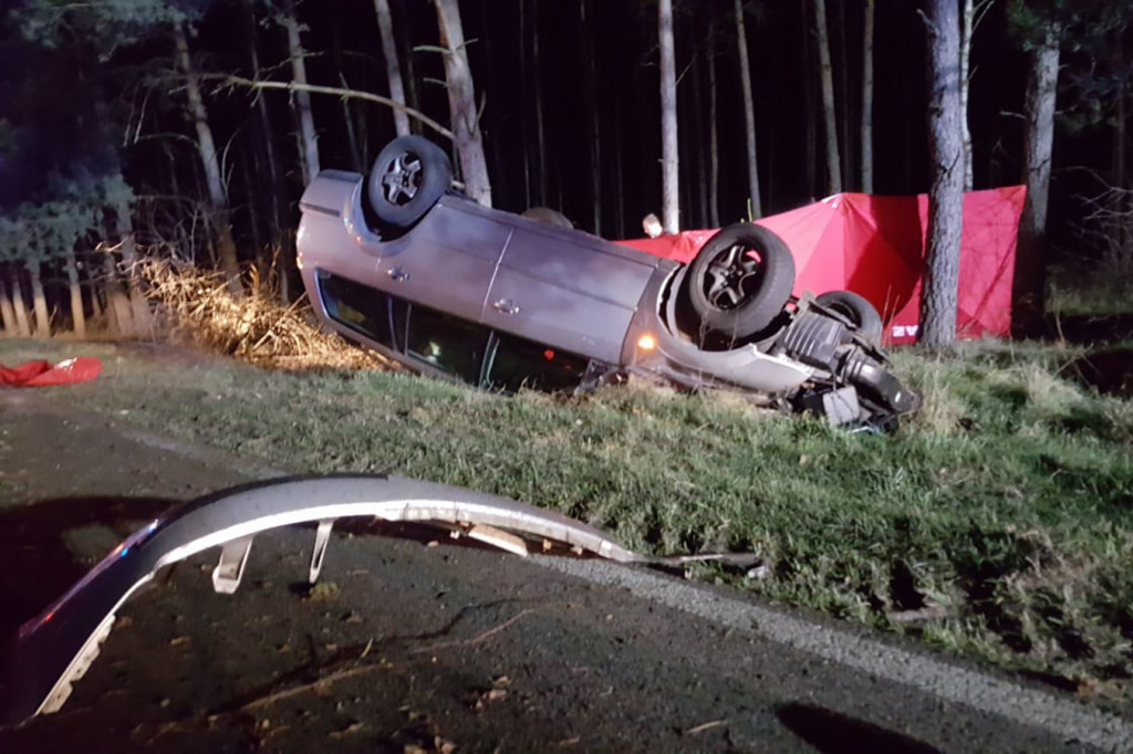 Tragedia na drodze. Ford uderzył w sarnę i dachował. Kierowca zginął na miejscu