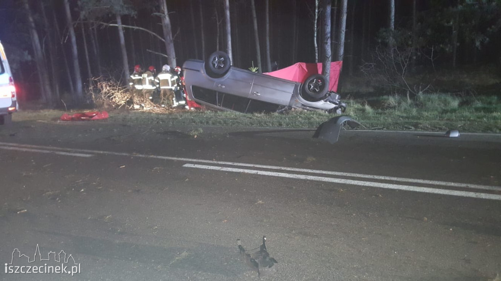 Tragedia na drodze. Ford uderzył w sarnę i dachował. Kierowca zginął na miejscu