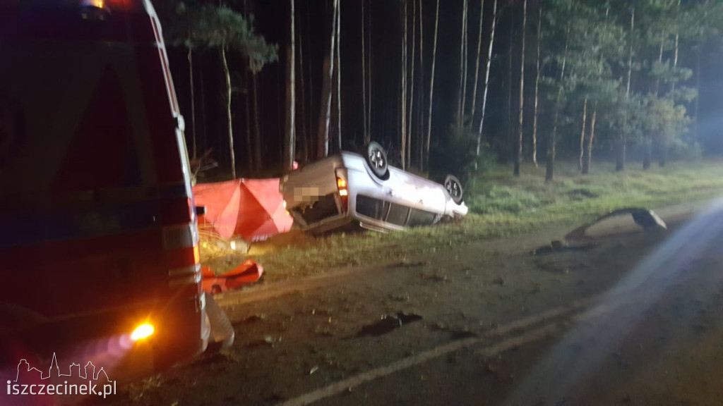 Tragedia na drodze. Ford uderzył w sarnę i dachował. Kierowca zginął na miejscu