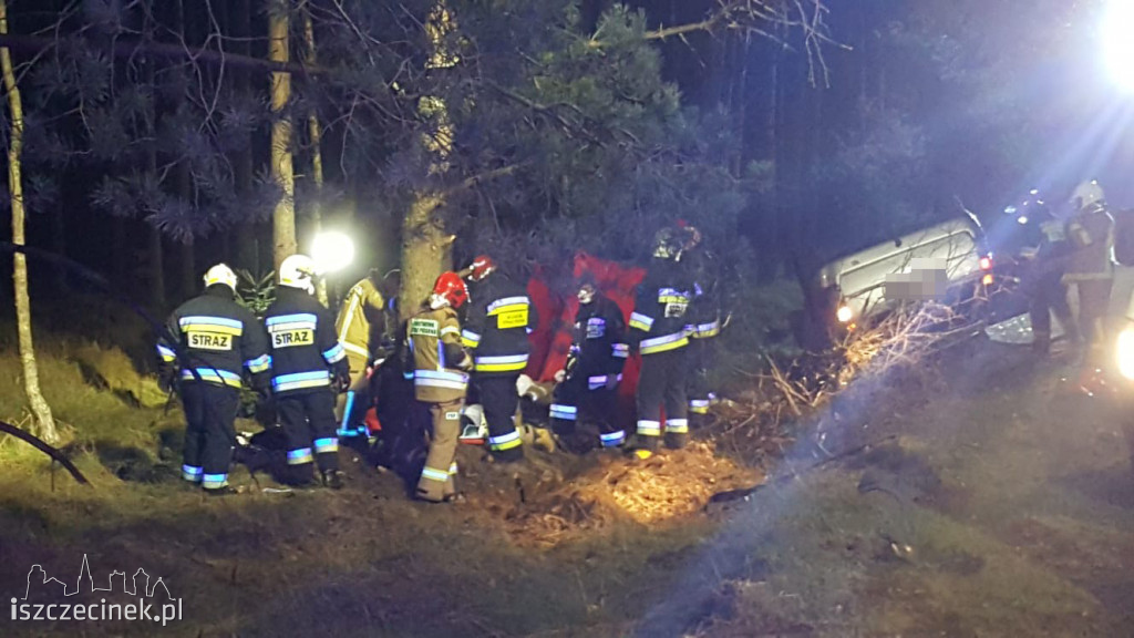 Tragedia na drodze. Ford uderzył w sarnę i dachował. Kierowca zginął na miejscu