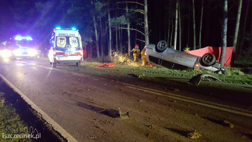 Tragedia na drodze. Ford uderzył w sarnę i dachował. Kierowca zginął na miejscu