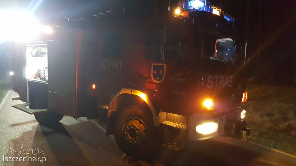Tragedia na drodze. Ford uderzył w sarnę i dachował. Kierowca zginął na miejscu