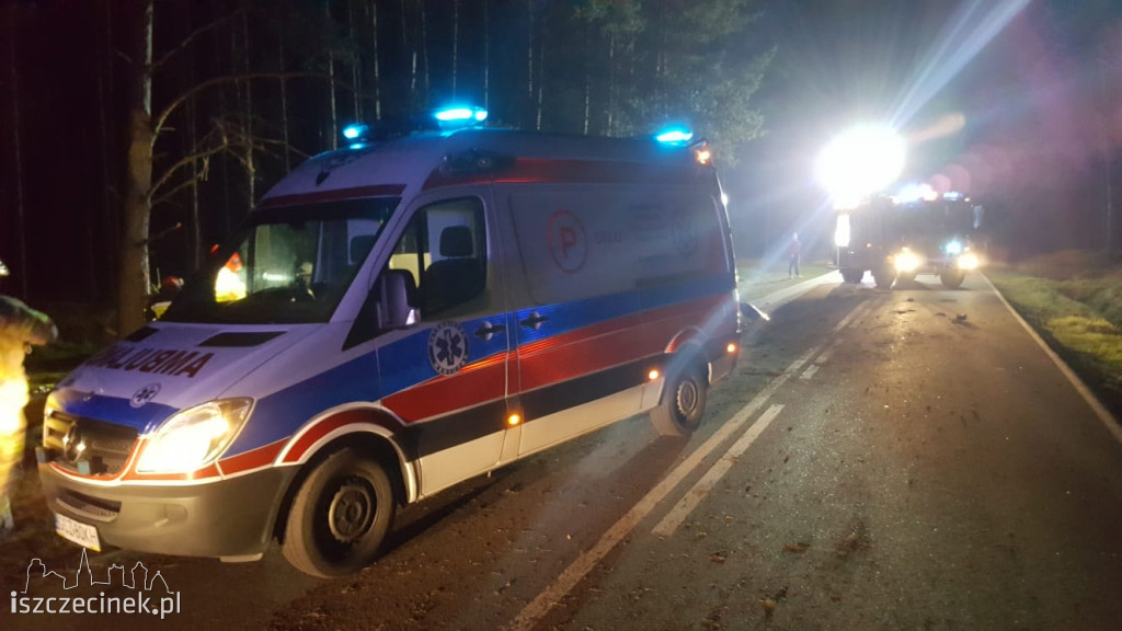 Tragedia na drodze. Ford uderzył w sarnę i dachował. Kierowca zginął na miejscu