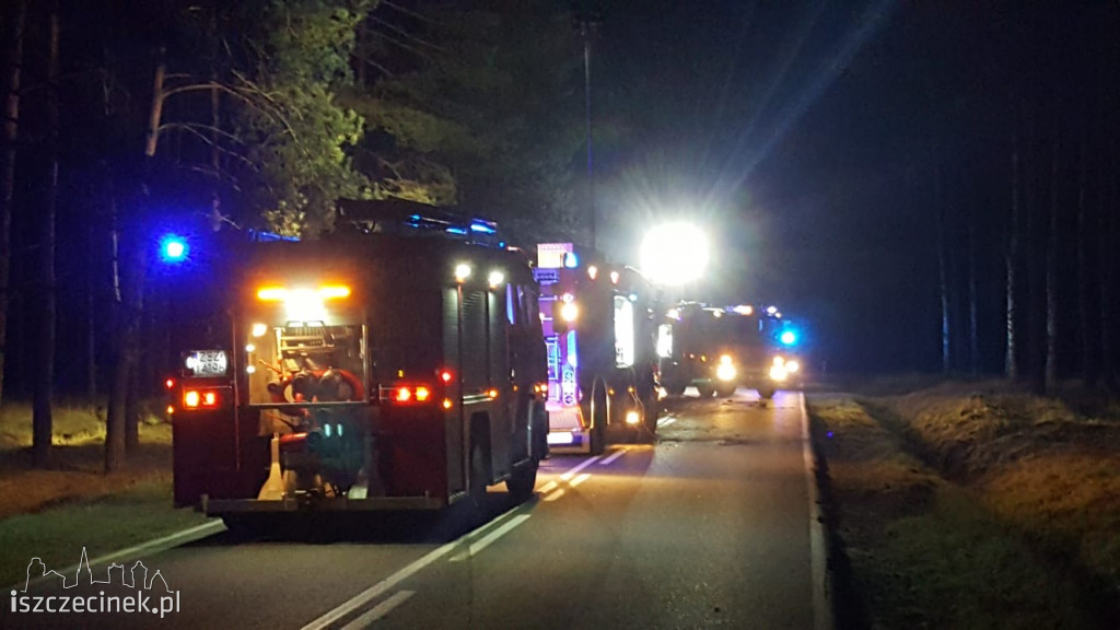 Tragedia na drodze. Ford uderzył w sarnę i dachował. Kierowca zginął na miejscu