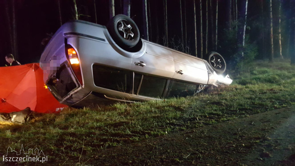 Tragedia na drodze. Ford uderzył w sarnę i dachował. Kierowca zginął na miejscu