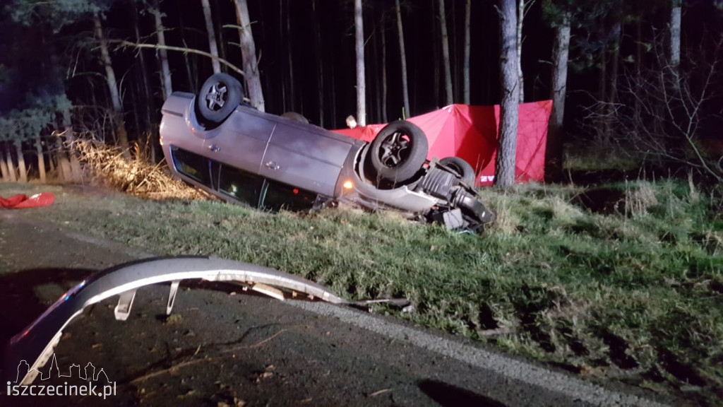 Tragedia na drodze. Ford uderzył w sarnę i dachował. Kierowca zginął na miejscu