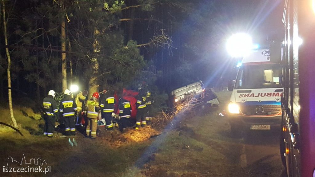 Tragedia na drodze. Ford uderzył w sarnę i dachował. Kierowca zginął na miejscu