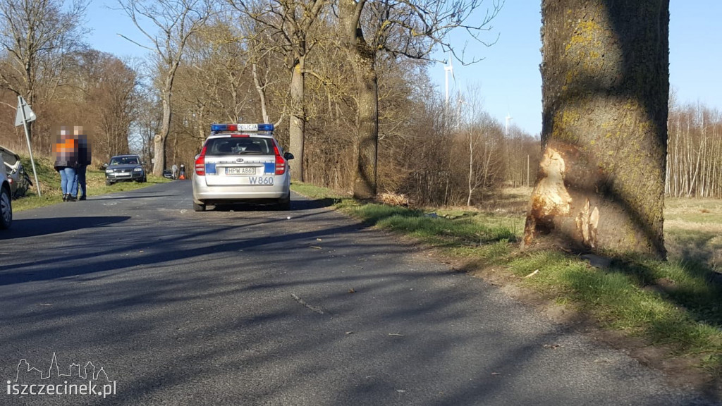 Pijana kobieta wsiadła z dzieckiem za kierownicę. Uderzyła w drzewo [ZDJĘCIA]