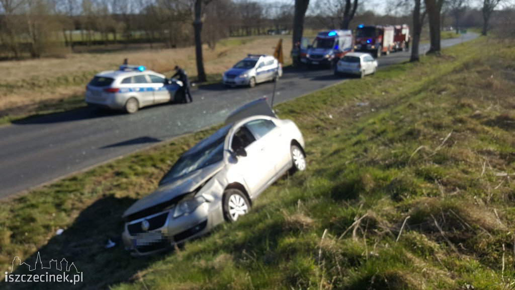 Pijana kobieta wsiadła z dzieckiem za kierownicę. Uderzyła w drzewo [ZDJĘCIA]