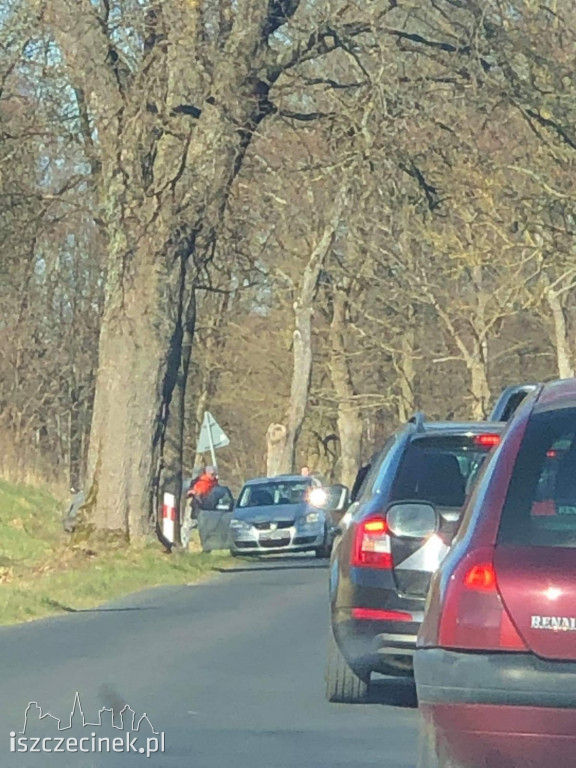 Pijana kobieta wsiadła z dzieckiem za kierownicę. Uderzyła w drzewo [ZDJĘCIA]