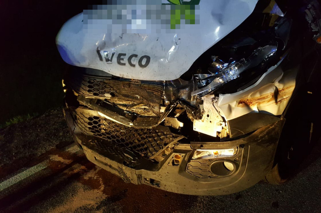 Bus uderzył w dwa jelenie. Niebezpiecznie pod Białym Borem