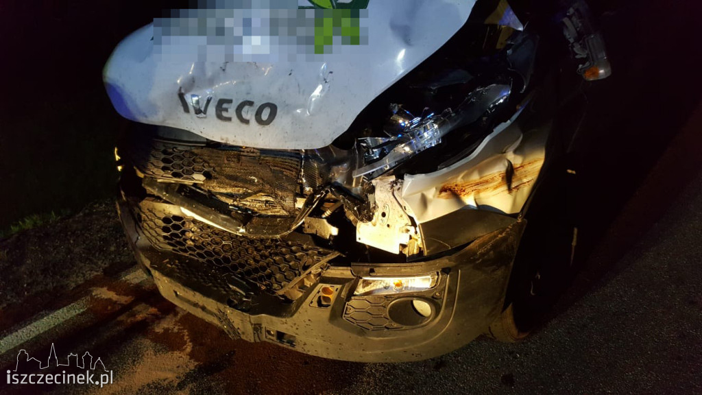 Bus uderzył w dwa jelenie. Niebezpiecznie pod Białym Borem