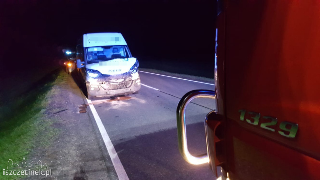 Bus uderzył w dwa jelenie. Niebezpiecznie pod Białym Borem