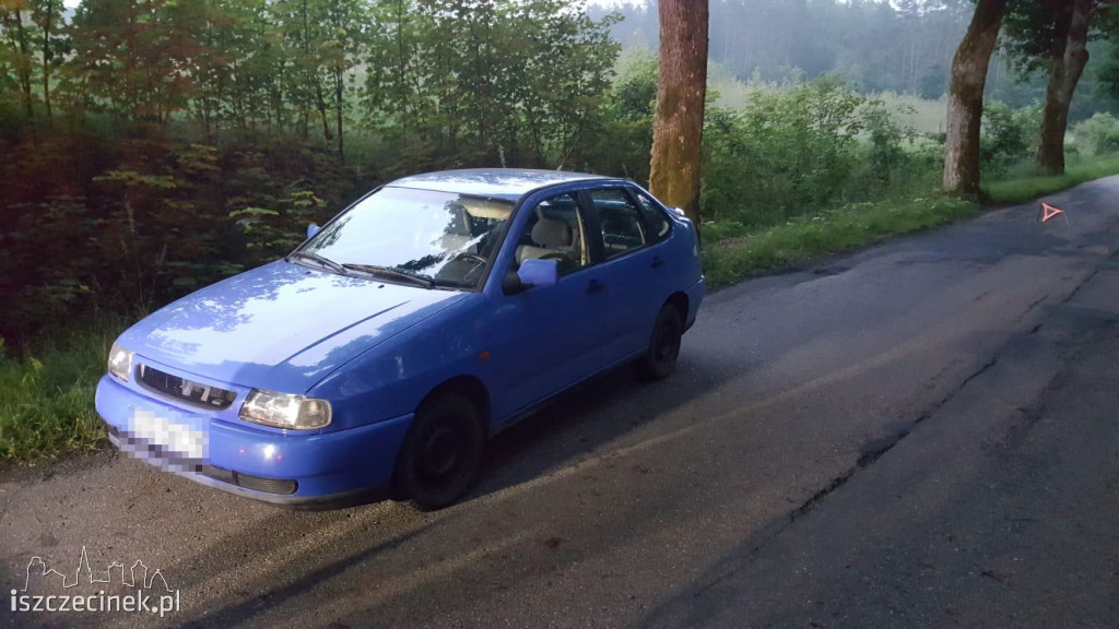 To nie była spokojna noc na drogach. Pijani za kierownicą i dzika zwierzyna
