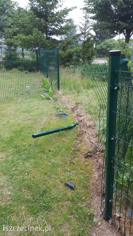 To nie była spokojna noc na drogach. Pijani za kierownicą i dzika zwierzyna