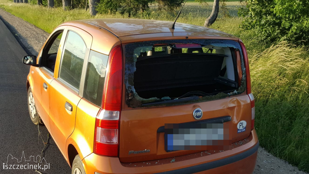 Kolizja na drodze Turowo - Wilcze Laski