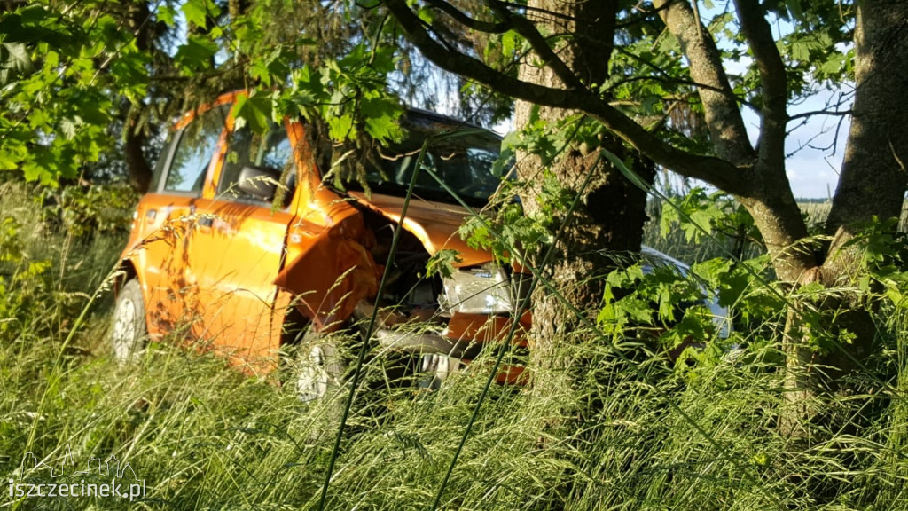 Kolizja na drodze Turowo - Wilcze Laski