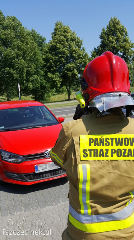 Kot zakleszczył się pod maską samochodu. Ratowali go strażacy