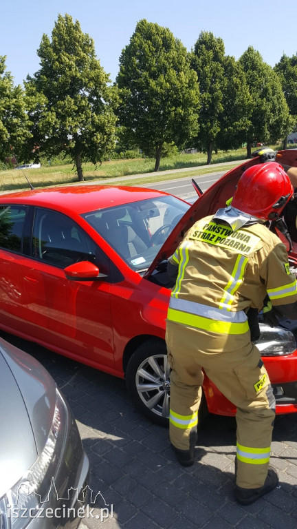 Kot zakleszczył się pod maską samochodu. Ratowali go strażacy