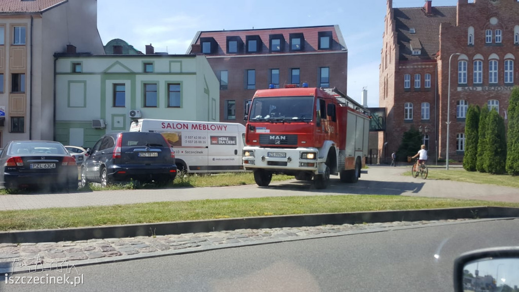 Kot zakleszczył się pod maską samochodu. Ratowali go strażacy
