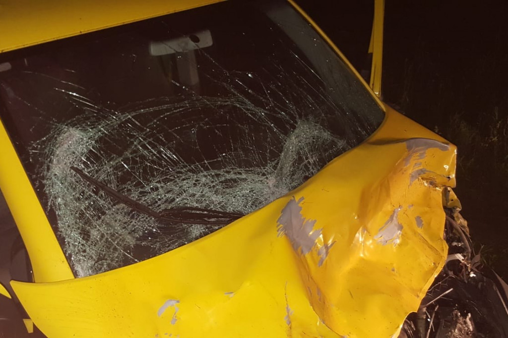 Zderzenie busa z łosiem pod Białym Borem. Zwierzę nie przeżyło