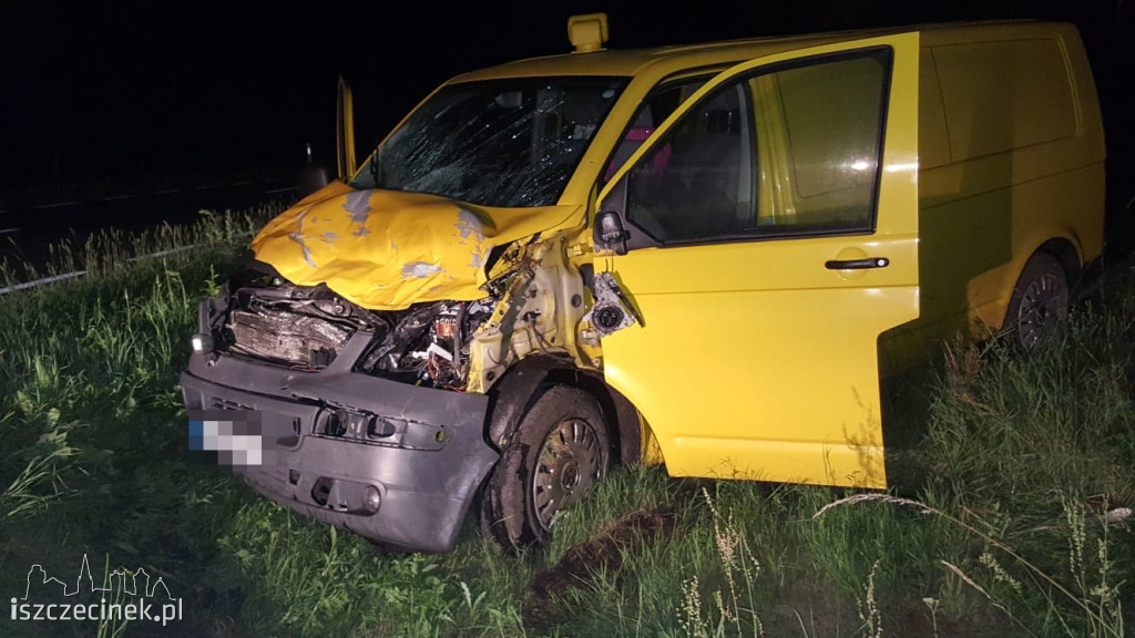 Zderzenie busa z łosiem pod Białym Borem. Zwierzę nie przeżyło