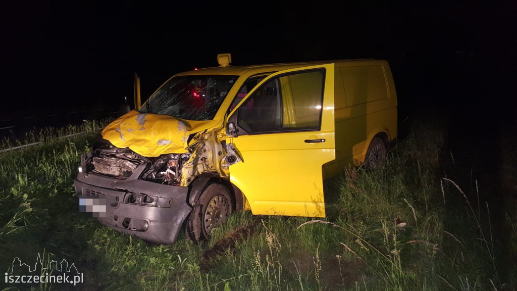 Zderzenie busa z łosiem pod Białym Borem. Zwierzę nie przeżyło